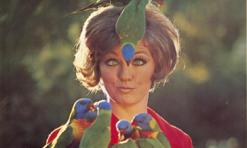 A woman in a red shirt who has two lorikeets sitting on her heard, and 7 perched in front of her.