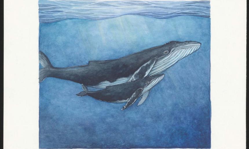 Painting of a humpback whale and its calf