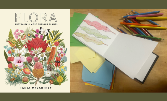 The book cover of 'Flora' by Tania McCartney and a sketchbook with colouring pencils.