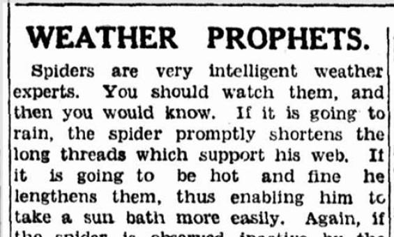 Clipping of a newspaper article titled 'Weather Prophets'.
