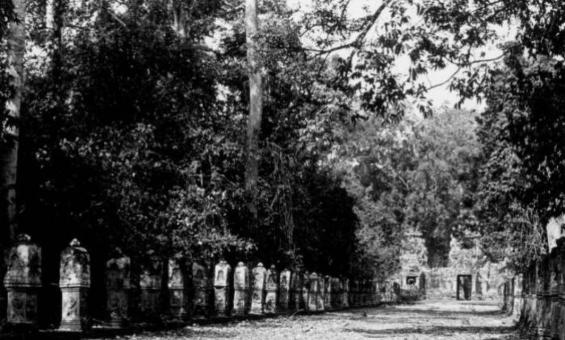 Preah Khan, rows of stone posts lined towards gopura