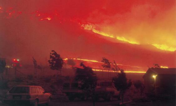 A scene of a hillside completely ablaze. A large fire front is moving up the hillside. The image is blanketed with smoke. The lights of a fire engine can be seen through the smoke. A station wagon is parked in the forground.