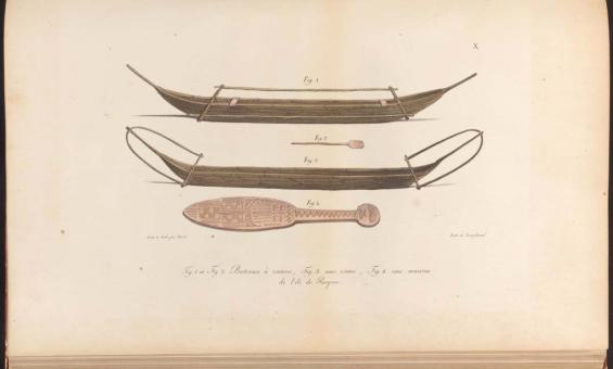 A watercolour drawing of two canoes and two types of oars/paddles