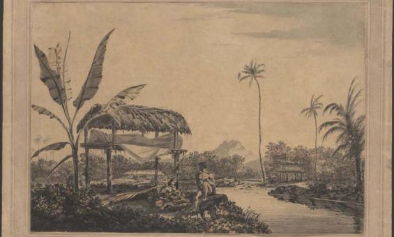 watercolour reproduction of pacific island 