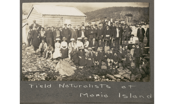 A black and white photo of a large group of men, women and children from a Tasmanian field expedition in 1912.