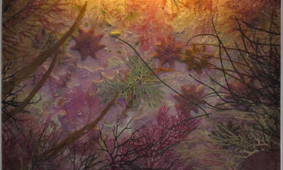 A collage of green and purple plant matter, aluminium and perspex, lit from above by a warm, yellow internal light.