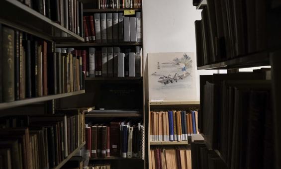 Shelves containing books and journals and a picture of a man in a boat looking at birds that sit on the sides of the boat