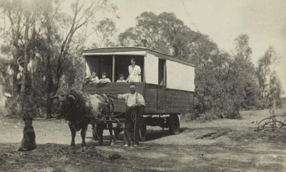 Man steering a large male cow that is pulling a wagon with his wife and children inside