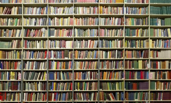 Large wall of bookshelves with hundreds of colourful books