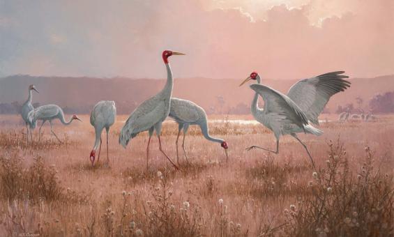 A painting of five crane birds standing on a grassy surface with mountains in the background.
