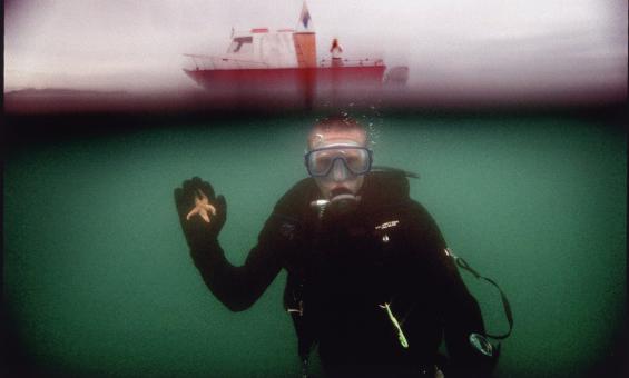 starfish diver Simon O'Dwyer