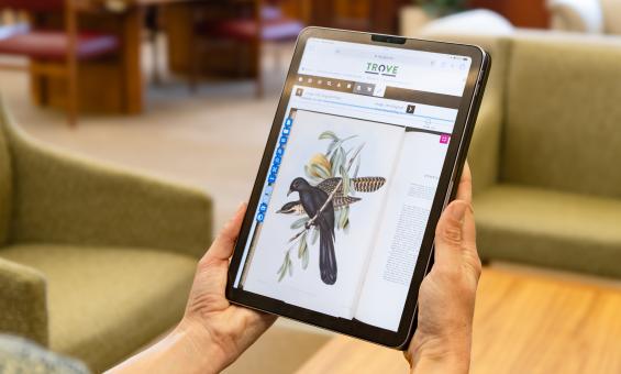 A person holds a tablet displaying an illustration of a bird on Trove. The background shows the Library's soft seating and wooden furniture.