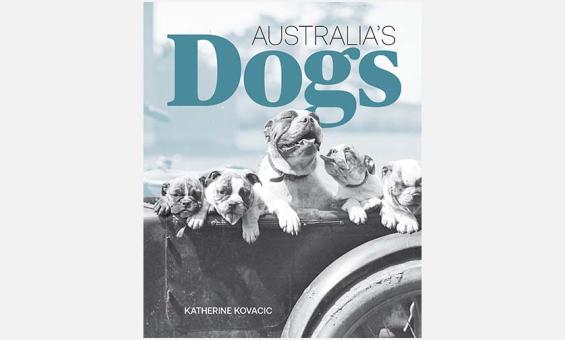 Cover of the book 'Australia's Dogs'