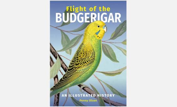 Cover of the book 'Flight of the Budgerigar'