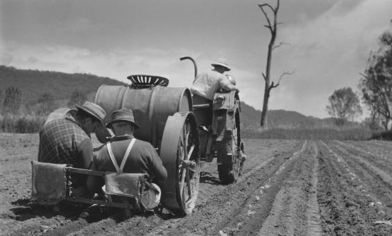 Black and white photo of three men on a tractor, one driving and the other two sitting at the back