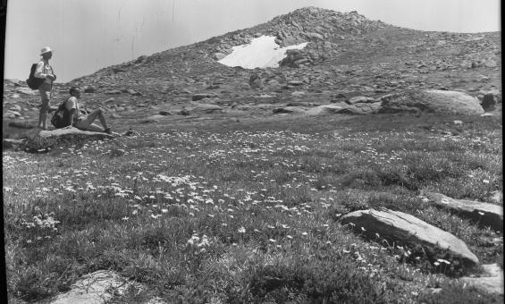 Two people at the bottom of Mount Townsend with flowers on the ground and rocks up the mountain