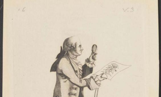 illustration of man walking with magnifying glass and drawing of a Australian flora