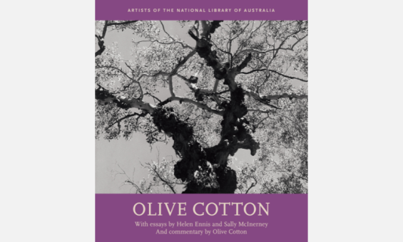 Cover of NLA Publishing book 'Olive Cotton' which features a black and white photograph looking up at a tree and purple along the top and bottom