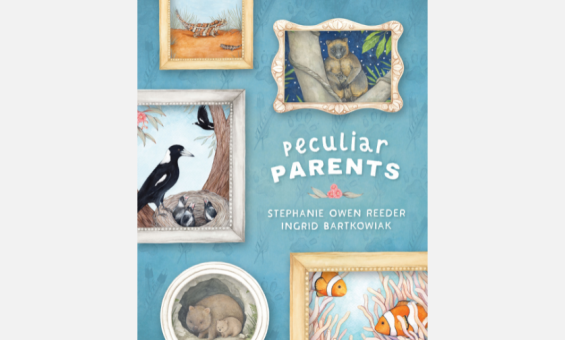 Cover for 'Peculiar Parents' by Stephanie Owen Reeder and illustrated by Ingrid Bartkowiak, featuring illustrations of framed animal pictures on a blue background