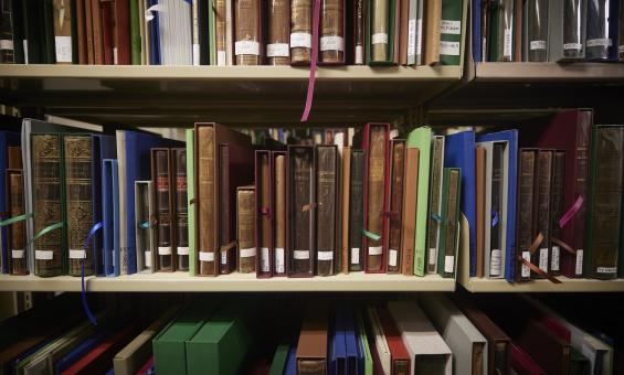 Books and octavos of various colours and binding from the Ferguson Collection on shelves
