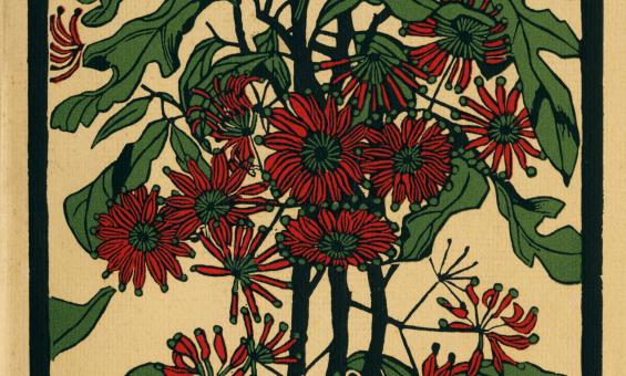 Front cover of journal with a red native flower drawing