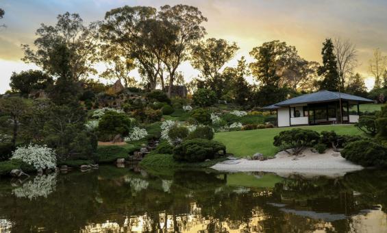 There is a pond at the base of this image with manicured gardens stretching up the hill behind it. A semi-enclosed outdoor seating area sits halfway up the image on the right-hand side.